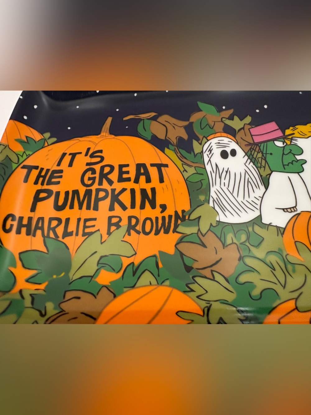 Peanuts Halloween Pumpkin Pet Feeding Tray - Black & Orange - Picture 2 of 12